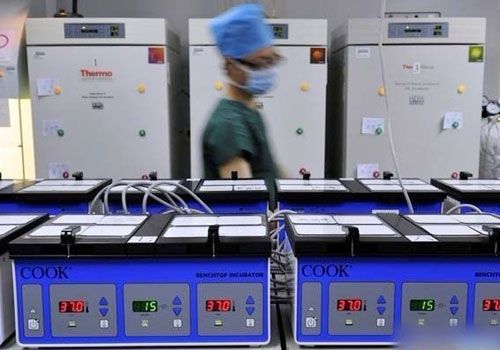 ʵ���Թ�Ӥ������ȫ����