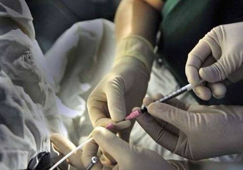 ʵ���Թ�Ӥ������ȫ����