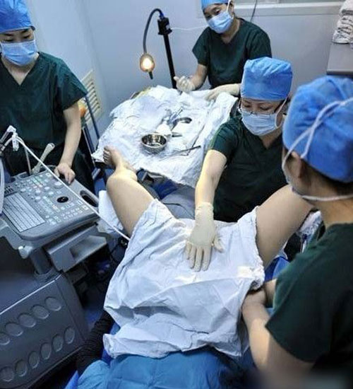 ʵ���Թ�Ӥ������ȫ����