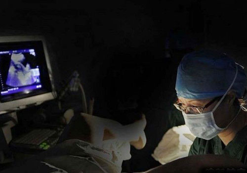 ʵ���Թ�Ӥ������ȫ����