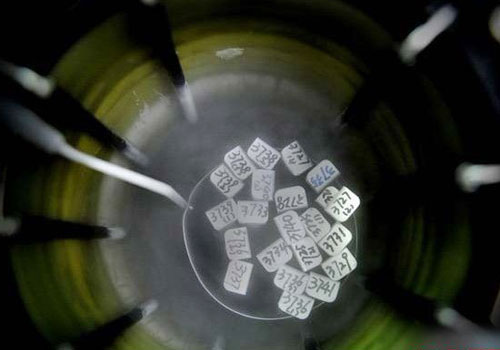 ʵ���Թ�Ӥ������ȫ����